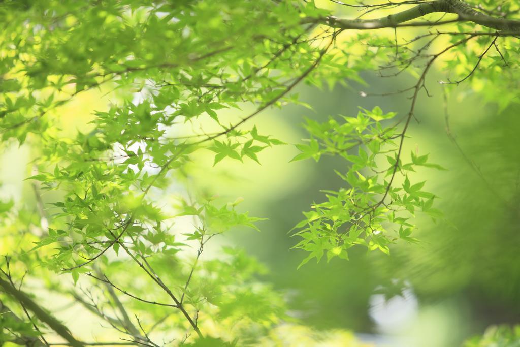 Oushuku Onsen Choeikan Shizukuishi Luaran gambar